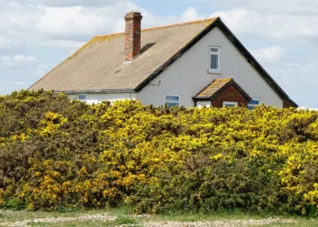 Czy i jak często trzeba czyścić komin? Domki z marzeń