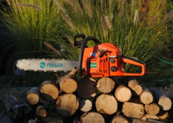 Wycinka drzew - podstawowe informacje - domkizmarzen.pl