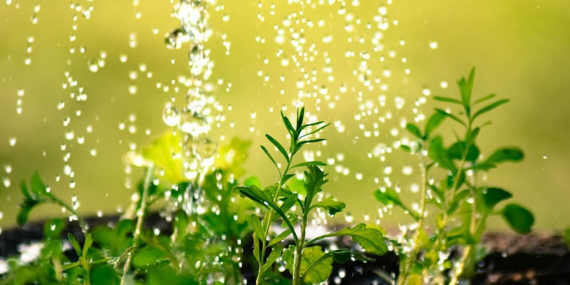 Jak-wybrac-dekoracyjny-zbiornik-na-deszczowke-Korzysci-jakie-przynosi